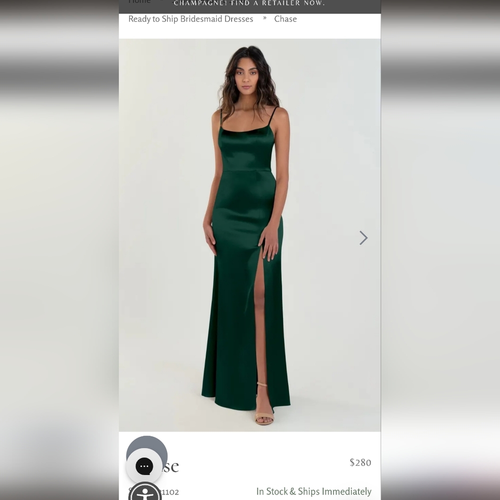 Jenny yoo bridesmaid dress
